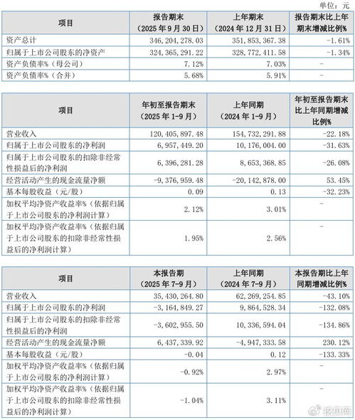 聯迪信息2025年第三季度凈虧損316.48萬元，內銷收入下滑拖累業績